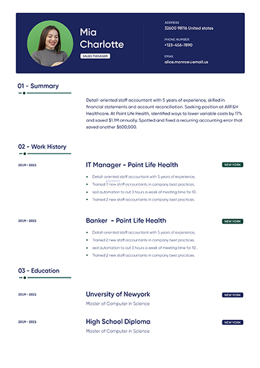 Professional resume template Madrid